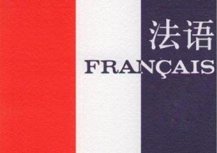 比利时法语区汉语教学能力提升项目深度解析