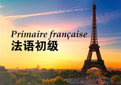 法语语法突破秘籍：高效学习方法全解析
