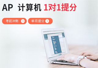 AP计算机A1对1单项提分