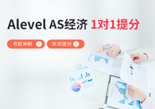 AlevelAS经济1对1单项提分班