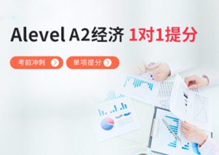 AlevelA2经济1对1单项提分