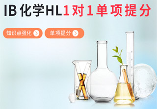 IB化学HL1对1单项提分