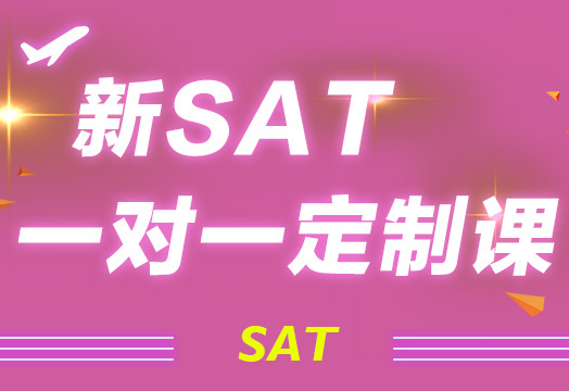 新SAT一对一定制课