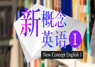 新概念英语精品B班集训课程深度解析