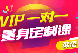 韩语VIP一对一定制课
