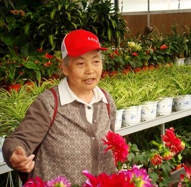  太原晨会语言培训学校_隅田佐