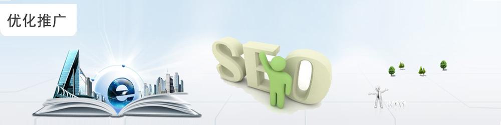 SEO实战教学