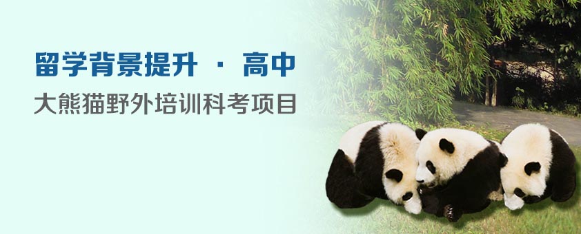 德国中学多语种教学