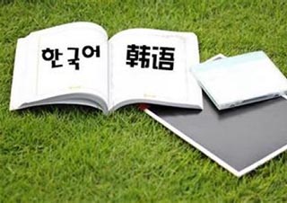 高效韩语学习全攻略