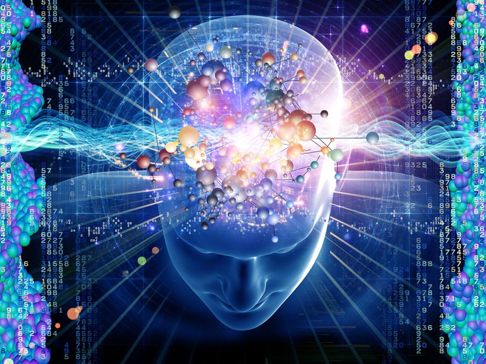 数学思维培养现场