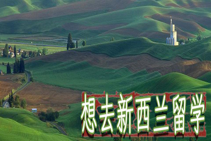 新西兰高等教育体系
