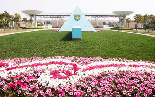 国际学校教学环境