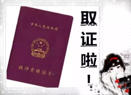 教师队伍发展图示