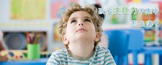 认知训练过程