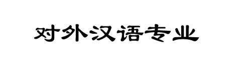 汉语教学实践场景