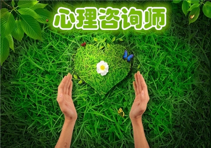 心理咨询专业服务