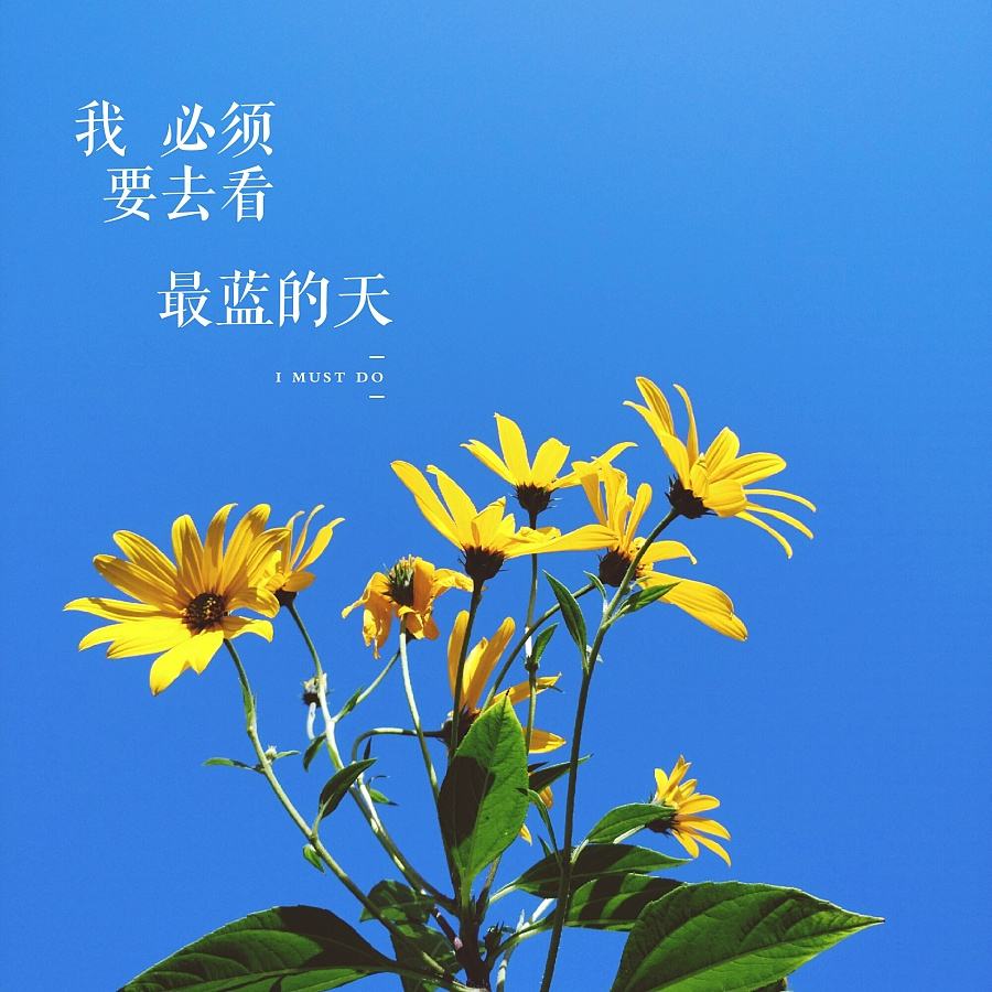 数码设计软件教学