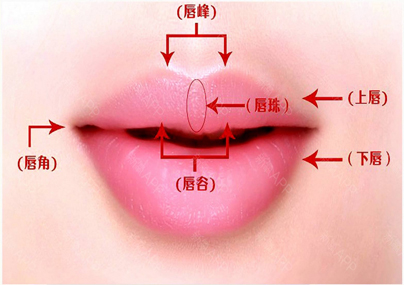 如何拥有明星般的美唇呢？