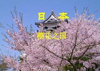 日语程度副词深度解析与实战应用