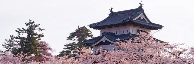 日本大学教学环境