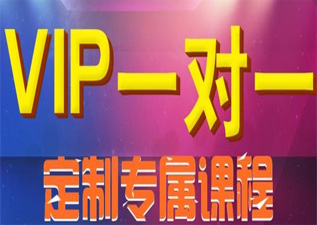 VIP一对一课程辅导