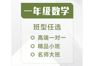 小学阶段数学强化训练方案