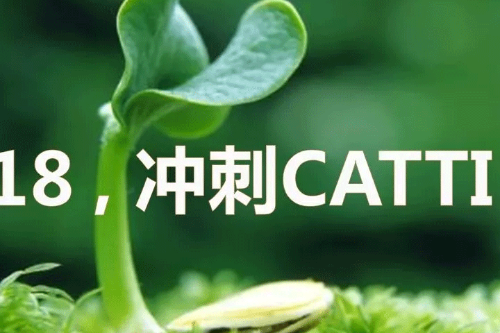 CATTI通关考试培训