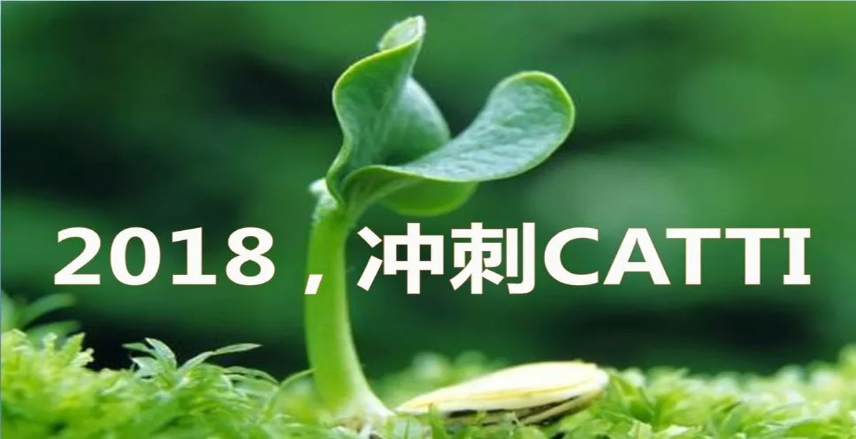 翻译技能实训