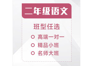 二年级语文辅导课程