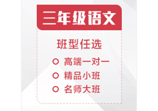 三年级语文辅导课程