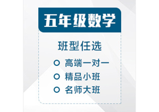 五年级数学辅导课程