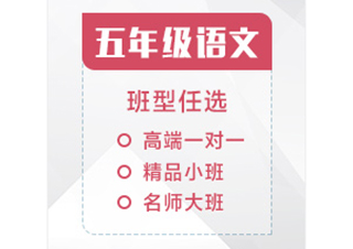 五年级语文辅导课程