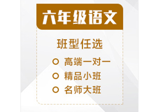 六年级语文辅导课程