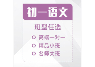 初一语文辅导课程