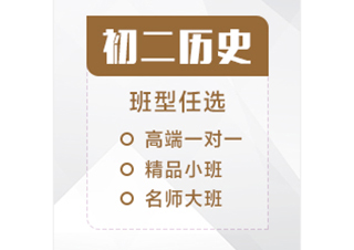 初二历史辅导课程