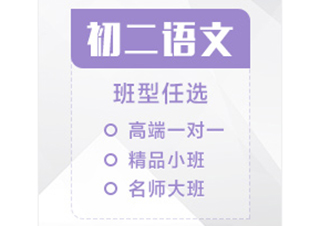 初二语文辅导课程
