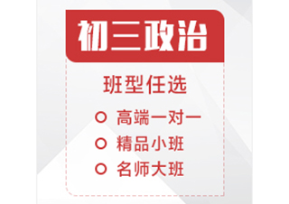 初三政治辅导课程
