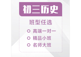 初三历史辅导课程