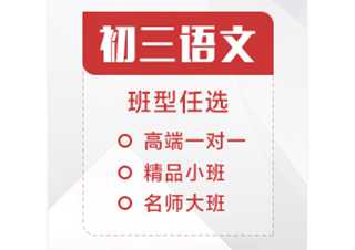 初三语文辅导课程