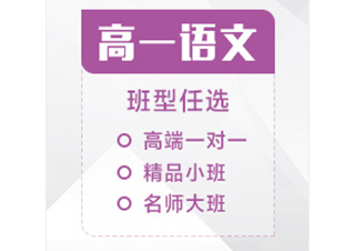 高一语文辅导课程