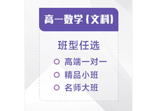 高一数学（文科）辅导课程