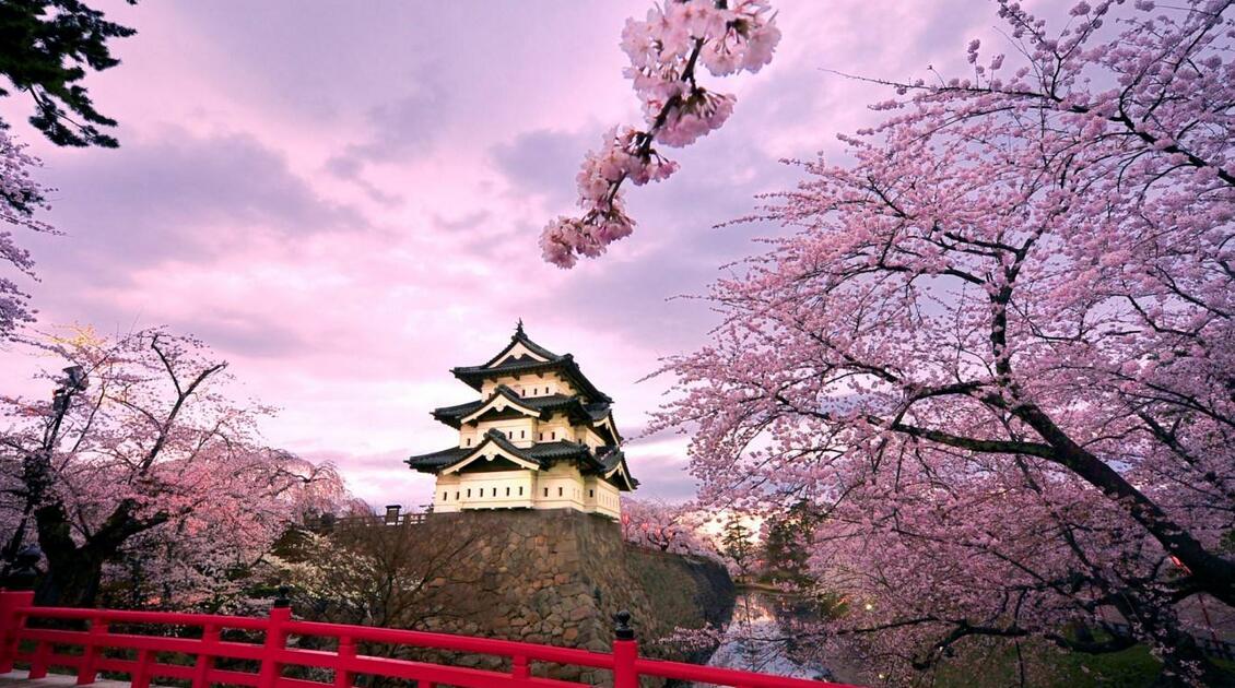 日语小班教学实景