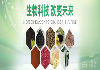 高一生物基础班