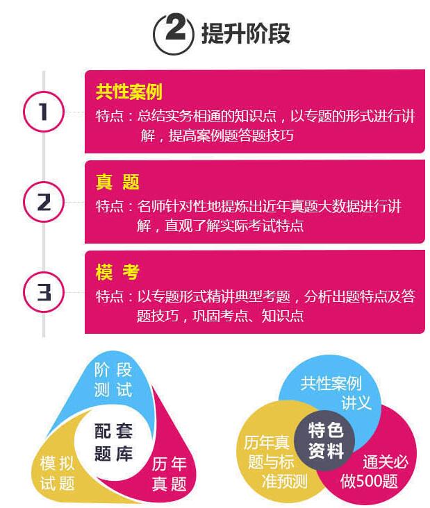 师资团队结构