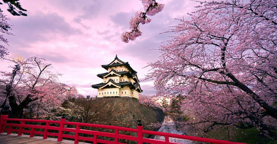 日本春季赏樱景观
