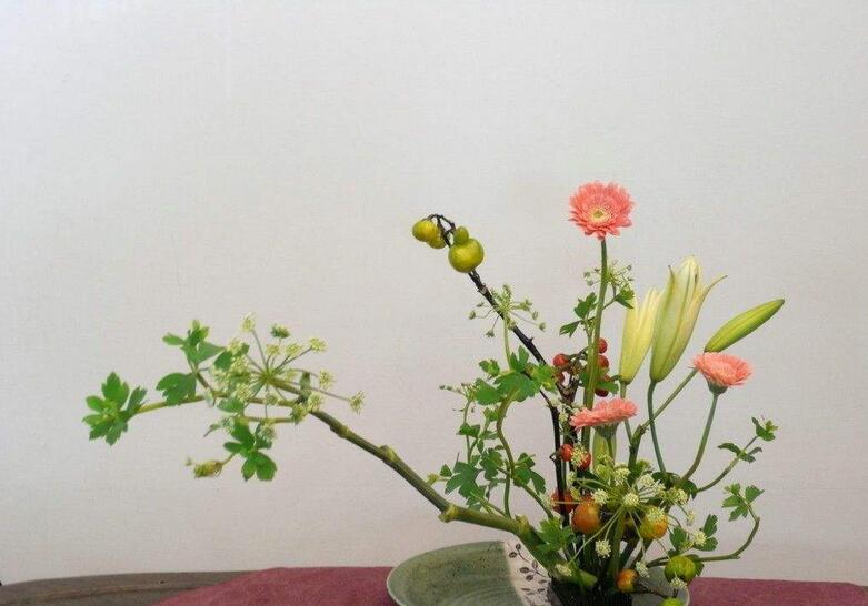 花艺设计教学