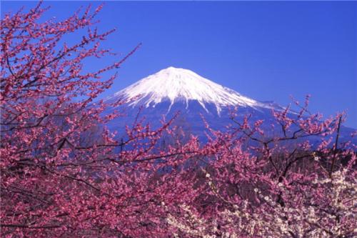 日语小班授课场景