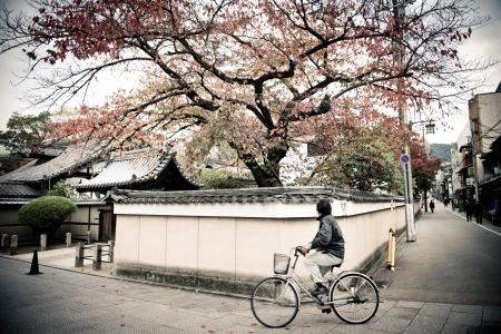 日语小班课堂实景