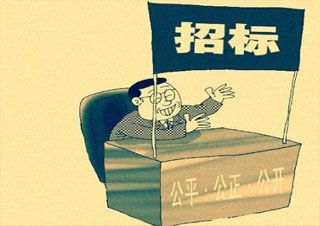 招标师职业解析与专业能力发展路径