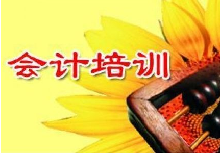 财会专业职业能力提升解决方案